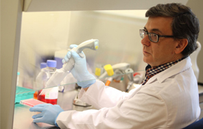INYCOM y Unizar investigan el desarrollo de un test de diagnóstico precoz de cáncer de colon