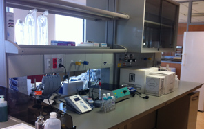 Nace INYCOM Biotech S.A., un nuevo proyecto empresarial apoyado por Inycom y orientado a productos biotecnológicos para laboratorio Nace INYCOM Biotech S.A., un nuevo proyecto empresarial apoyado por Inycom y orientado a productos biotecnológicos para laboratorio