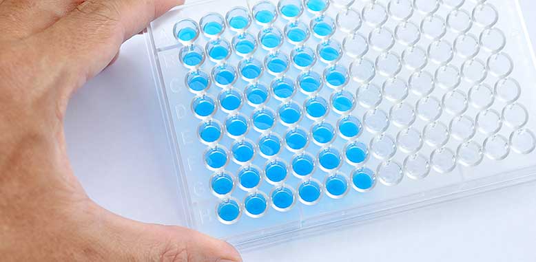 Inycom Biotech visita Biospain 2018