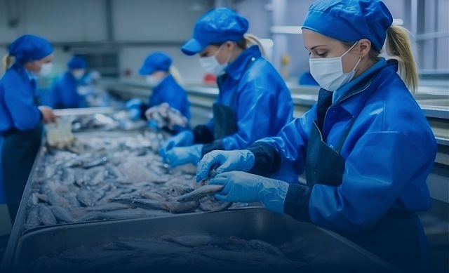 Didon Marée y la trazabilidad en Surefish