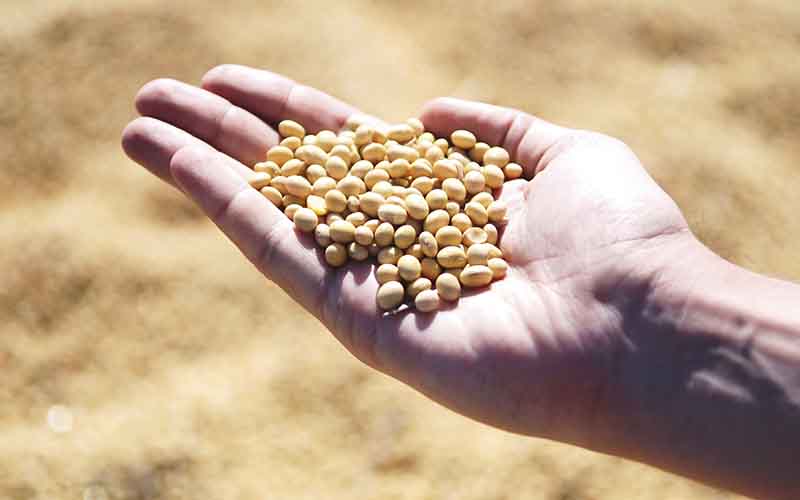 Patrocinamos el simposium sobre Pymes Alimentarias 4.0