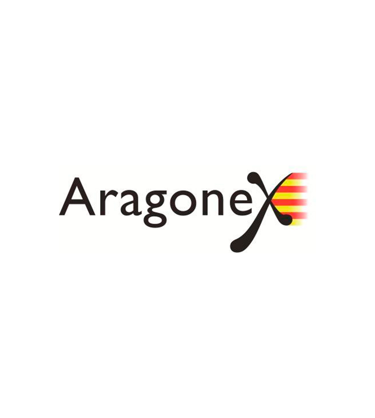 Premio Aragonex a la Innovación Tecnológica